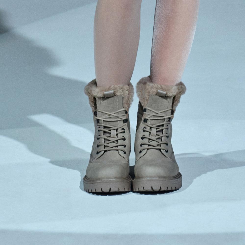 Dolo Borcego